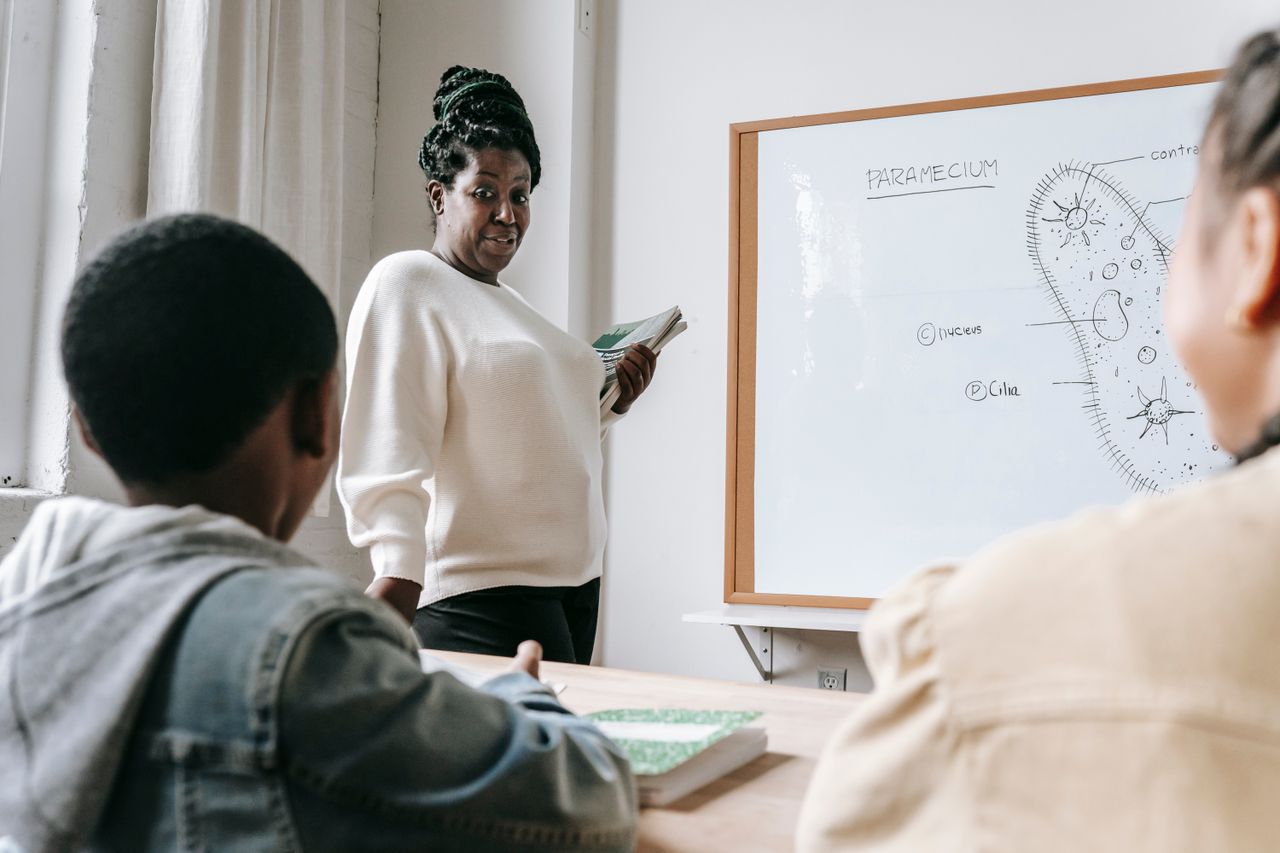 5 best things will change the way you approach business African American female teacher standing near whiteboard and explaining scheme to pupils during lesson in school